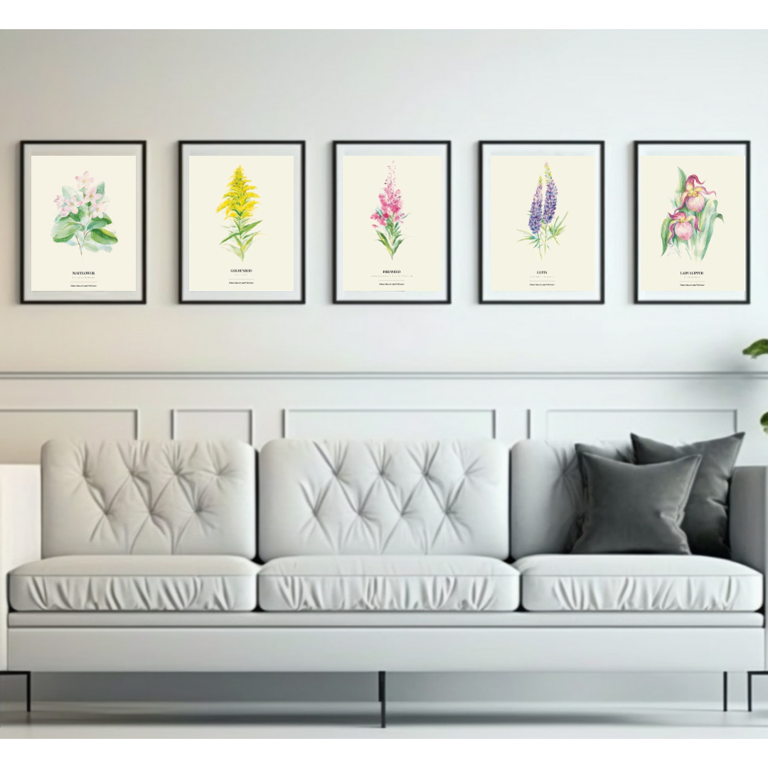 Wildflower Print Series